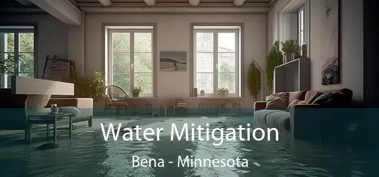 Water Mitigation Bena - Minnesota