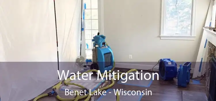 Water Mitigation Benet Lake - Wisconsin