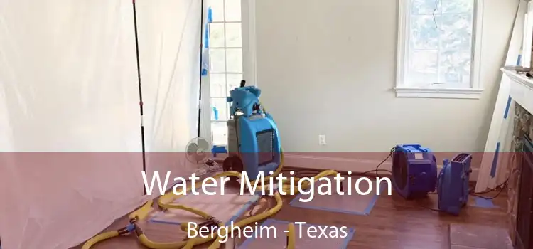 Water Mitigation Bergheim - Texas