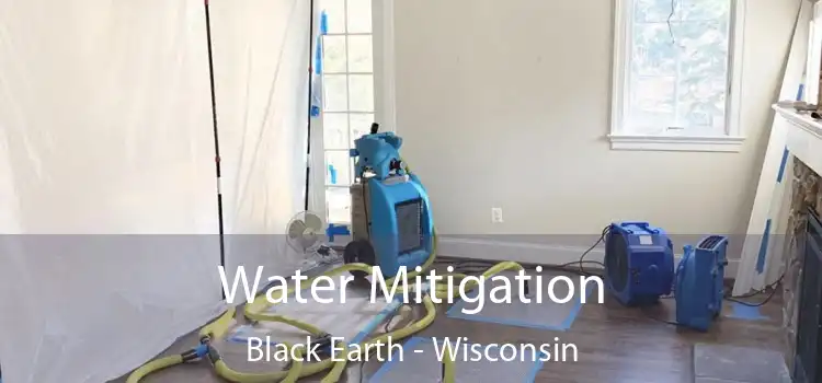 Water Mitigation Black Earth - Wisconsin