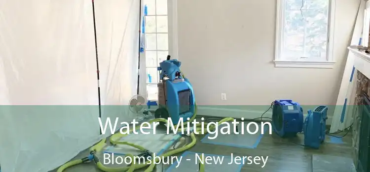 Water Mitigation Bloomsbury - New Jersey