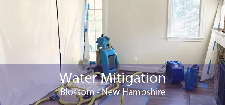 Water Mitigation Blossom - New Hampshire