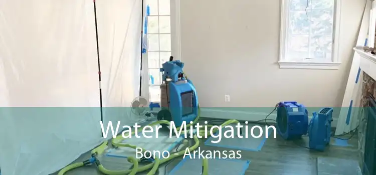 Water Mitigation Bono - Arkansas