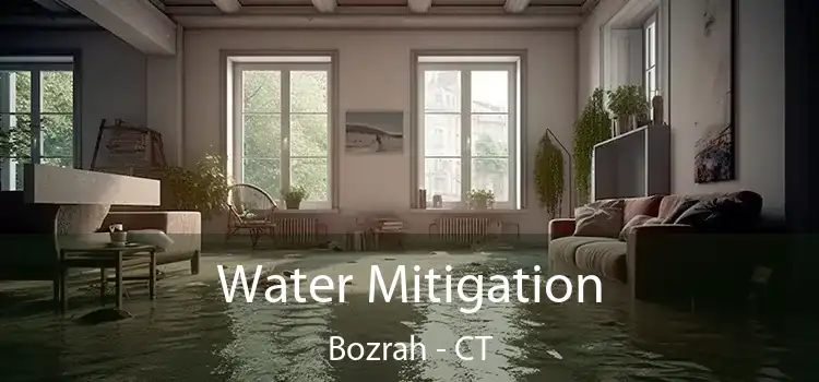 Water Mitigation Bozrah - CT