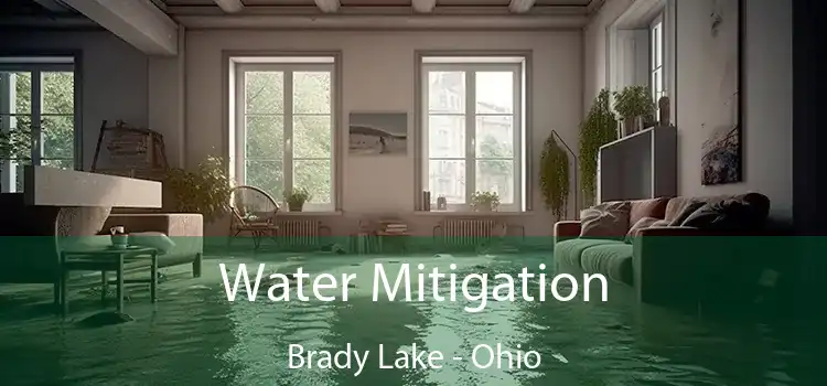 Water Mitigation Brady Lake - Ohio