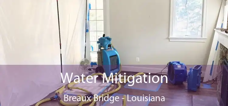 Water Mitigation Breaux Bridge - Louisiana