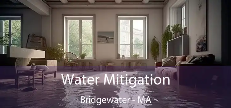 Water Mitigation Bridgewater - MA