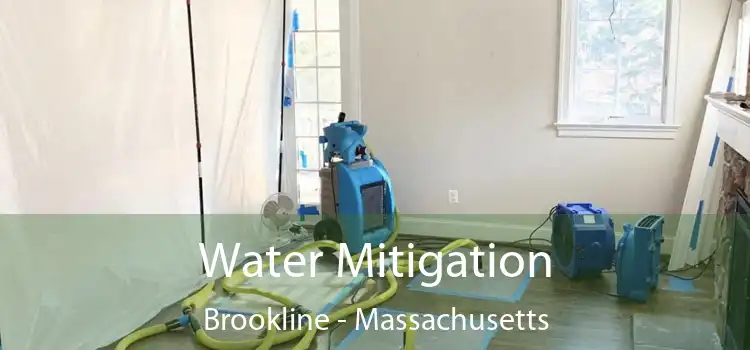 Water Mitigation Brookline - Massachusetts