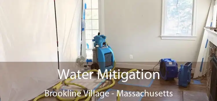 Water Mitigation Brookline Village - Massachusetts