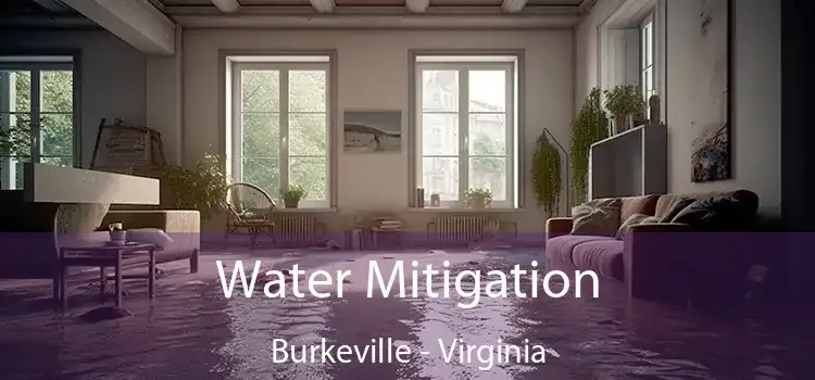 Water Mitigation Burkeville - Virginia