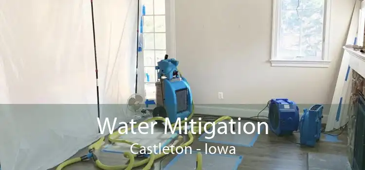 Water Mitigation Castleton - Iowa