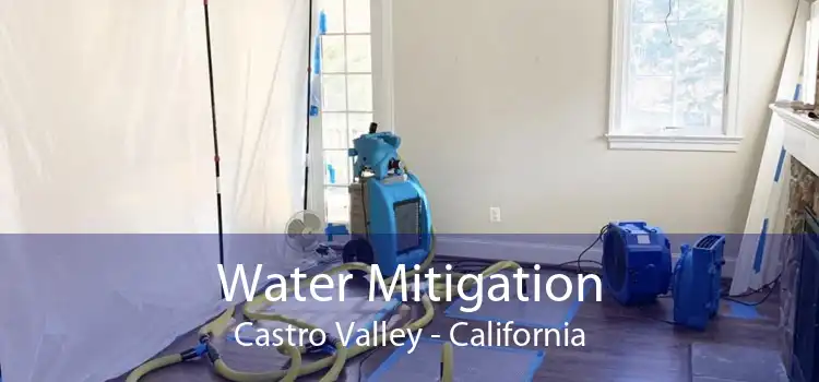 Water Mitigation Castro Valley - California