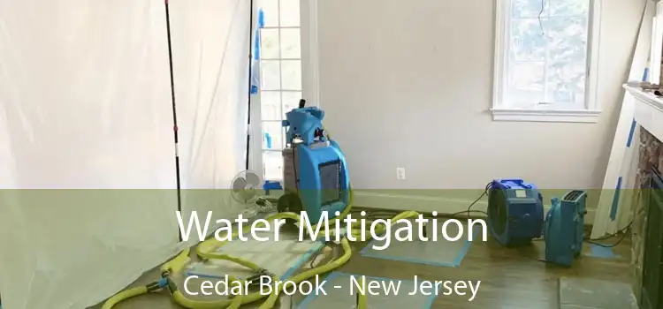 Water Mitigation Cedar Brook - New Jersey