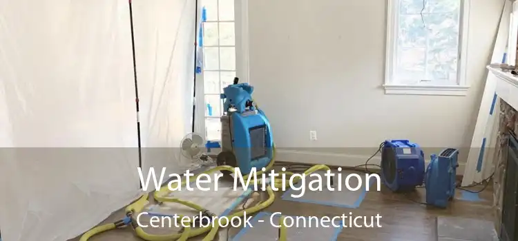 Water Mitigation Centerbrook - Connecticut