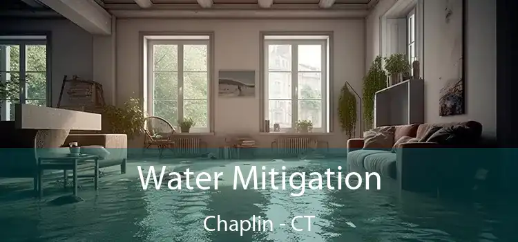 Water Mitigation Chaplin - CT