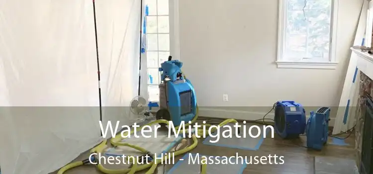 Water Mitigation Chestnut Hill - Massachusetts