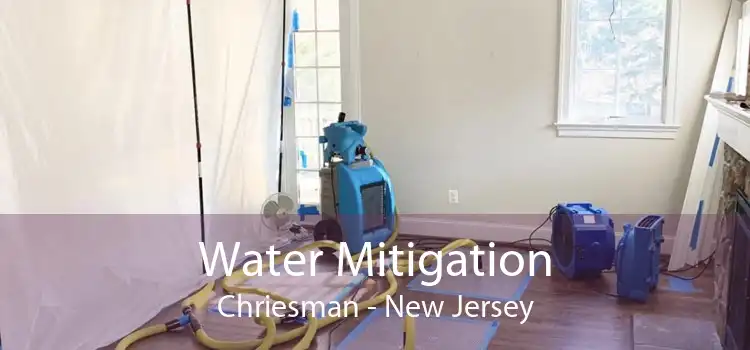 Water Mitigation Chriesman - New Jersey
