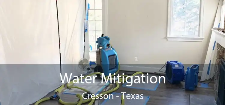 Water Mitigation Cresson - Texas