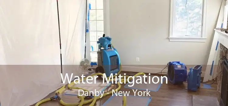 Water Mitigation Danby - New York