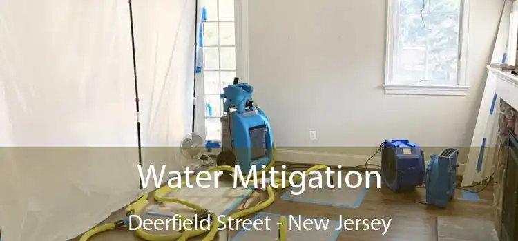 Water Mitigation Deerfield Street - New Jersey