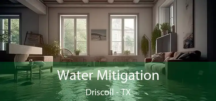 Water Mitigation Driscoll - TX