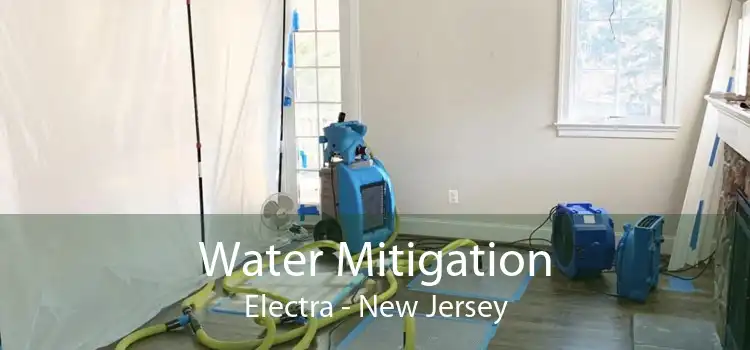 Water Mitigation Electra - New Jersey