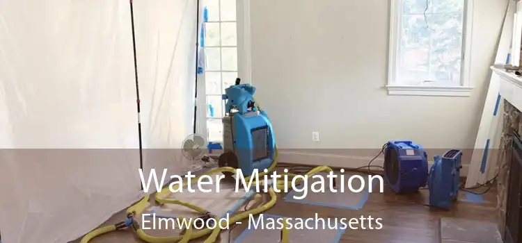 Water Mitigation Elmwood - Massachusetts