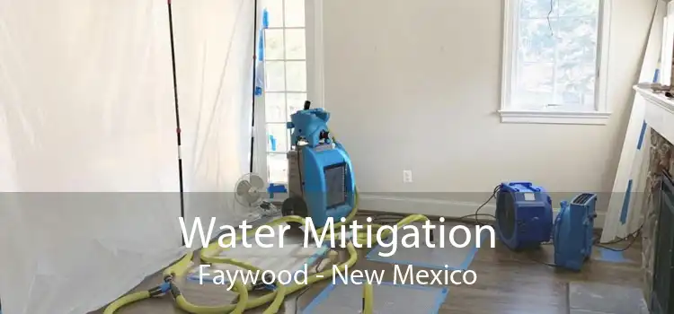 Water Mitigation Faywood - New Mexico