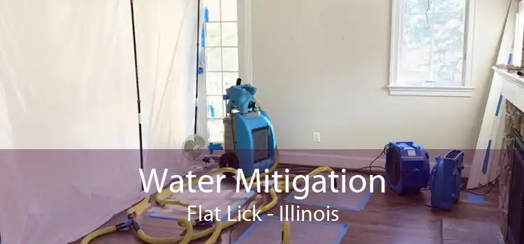 Water Mitigation Flat Lick - Illinois