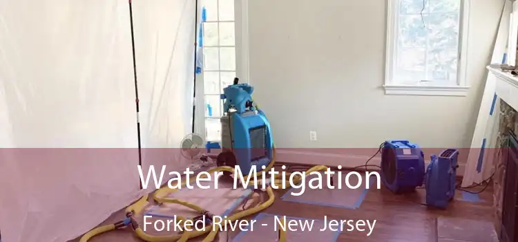 Water Mitigation Forked River - New Jersey