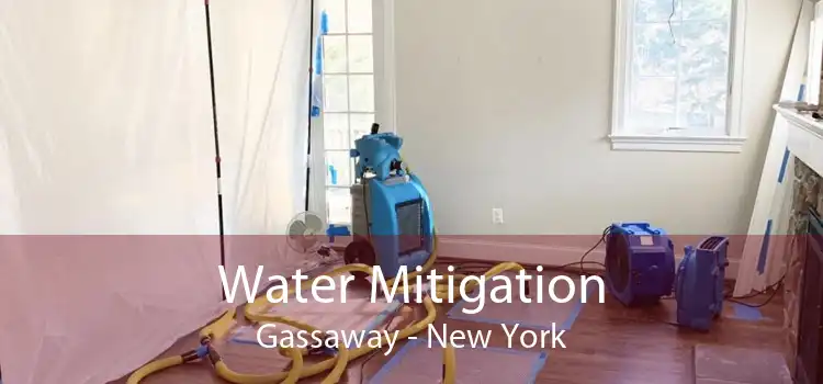 Water Mitigation Gassaway - New York
