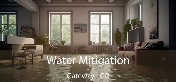 Water Mitigation Gateway - CO