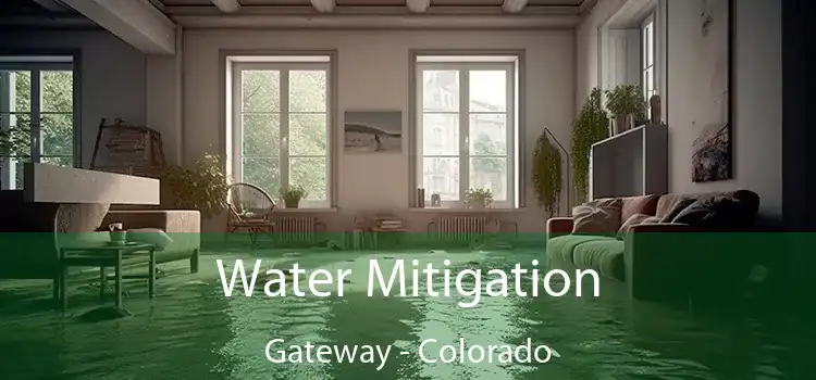 Water Mitigation Gateway - Colorado