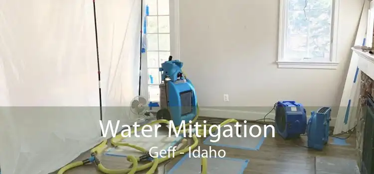Water Mitigation Geff - Idaho