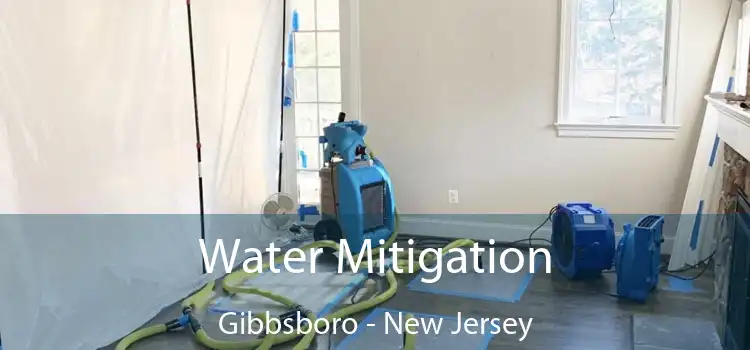 Water Mitigation Gibbsboro - New Jersey