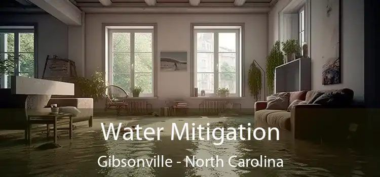 Water Mitigation Gibsonville - North Carolina