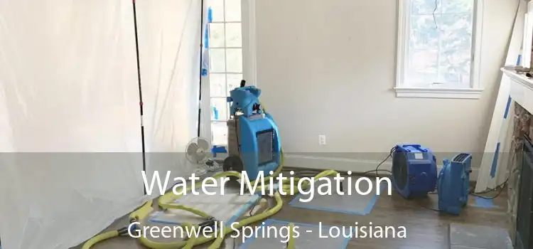 Water Mitigation Greenwell Springs - Louisiana