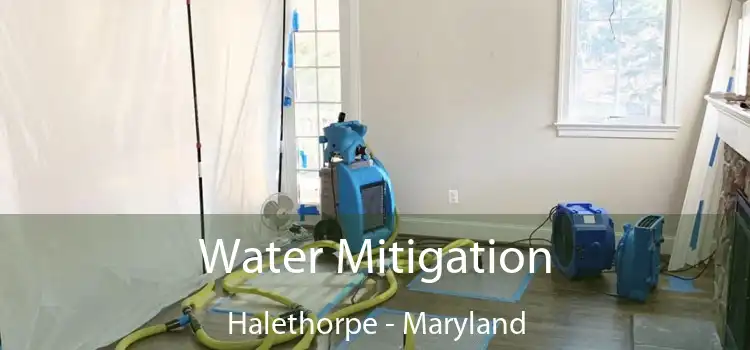 Water Mitigation Halethorpe - Maryland