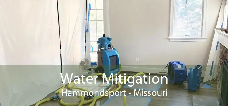 Water Mitigation Hammondsport - Missouri