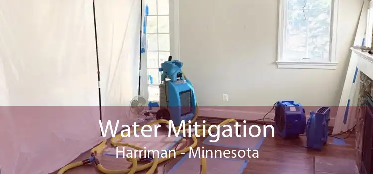 Water Mitigation Harriman - Minnesota
