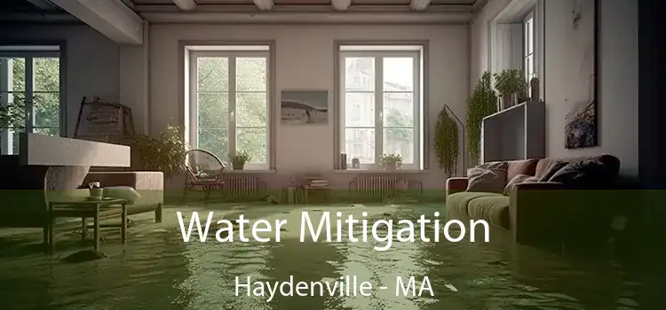 Water Mitigation Haydenville - MA