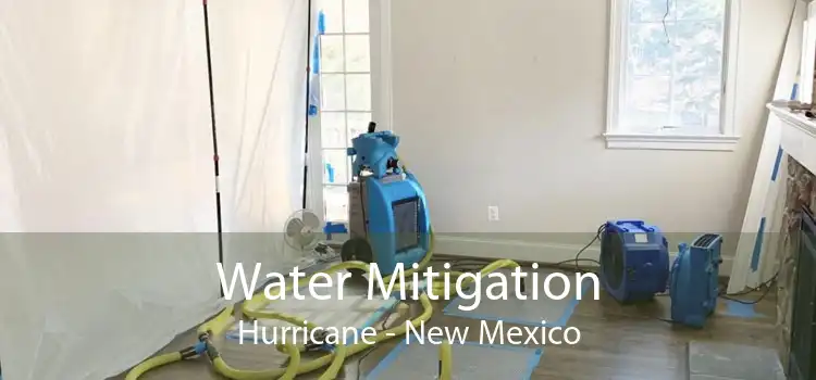 Water Mitigation Hurricane - New Mexico