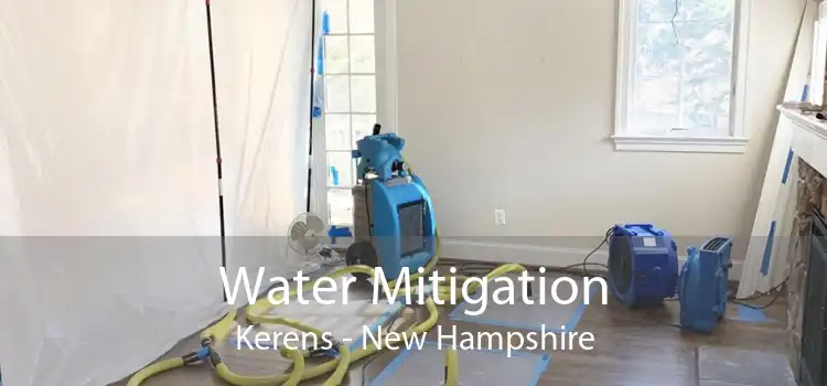 Water Mitigation Kerens - New Hampshire