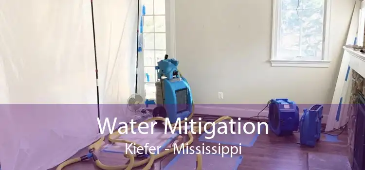 Water Mitigation Kiefer - Mississippi