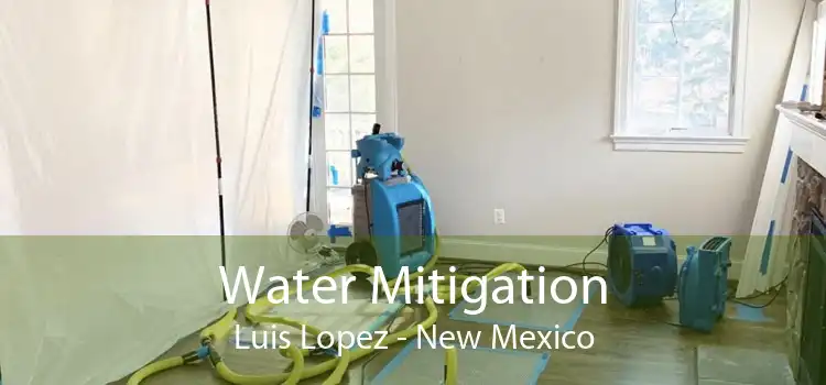Water Mitigation Luis Lopez - New Mexico