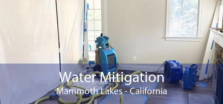 Water Mitigation Mammoth Lakes - California