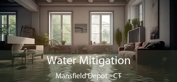 Water Mitigation Mansfield Depot - CT