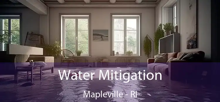 Water Mitigation Mapleville - RI