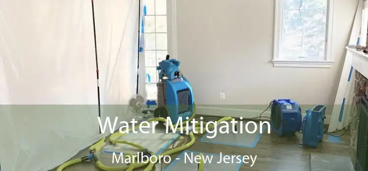 Water Mitigation Marlboro - New Jersey