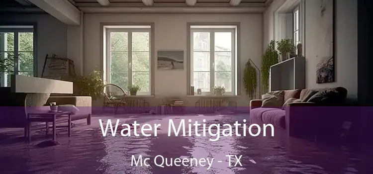 Water Mitigation Mc Queeney - TX